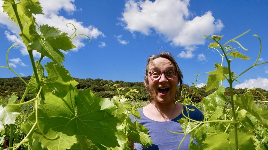 Les Clos d’Elis