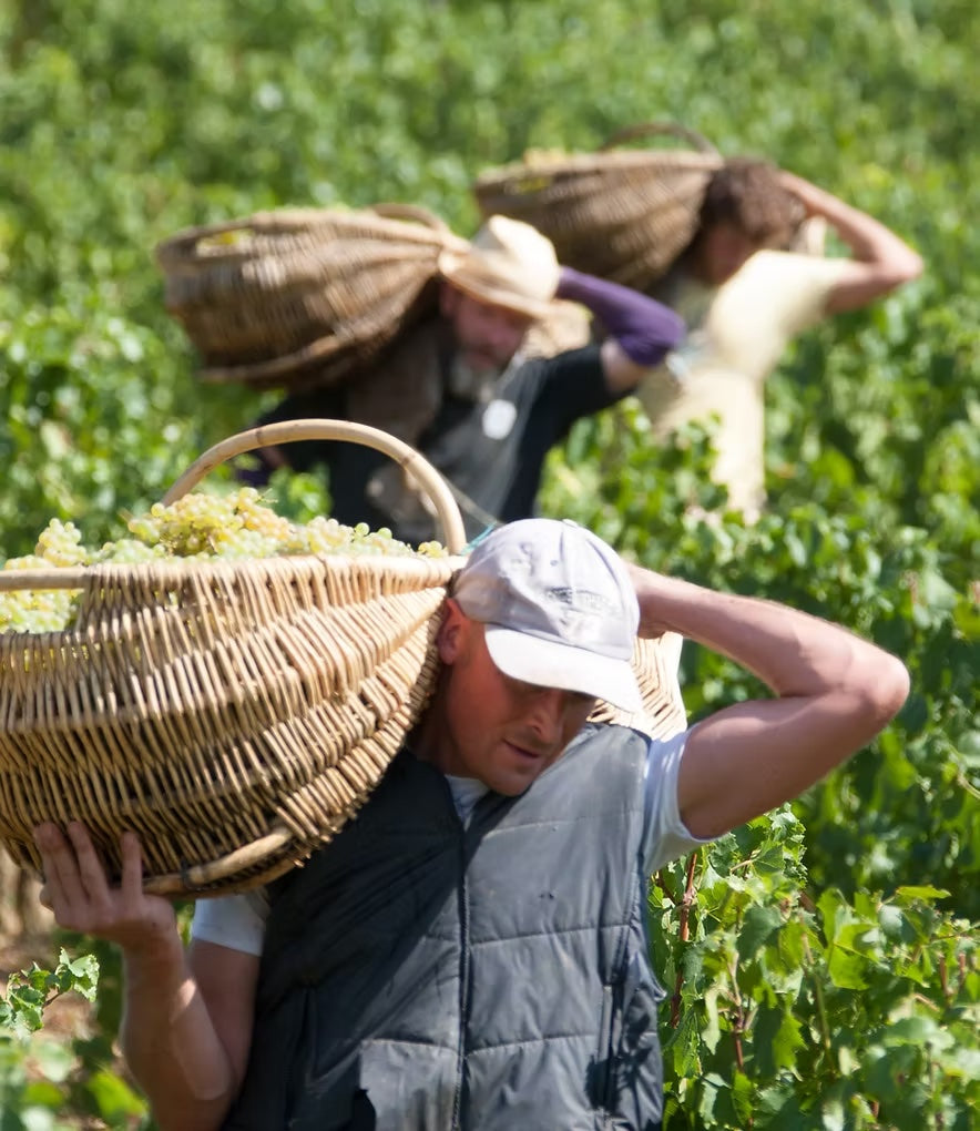 Bourgogne
