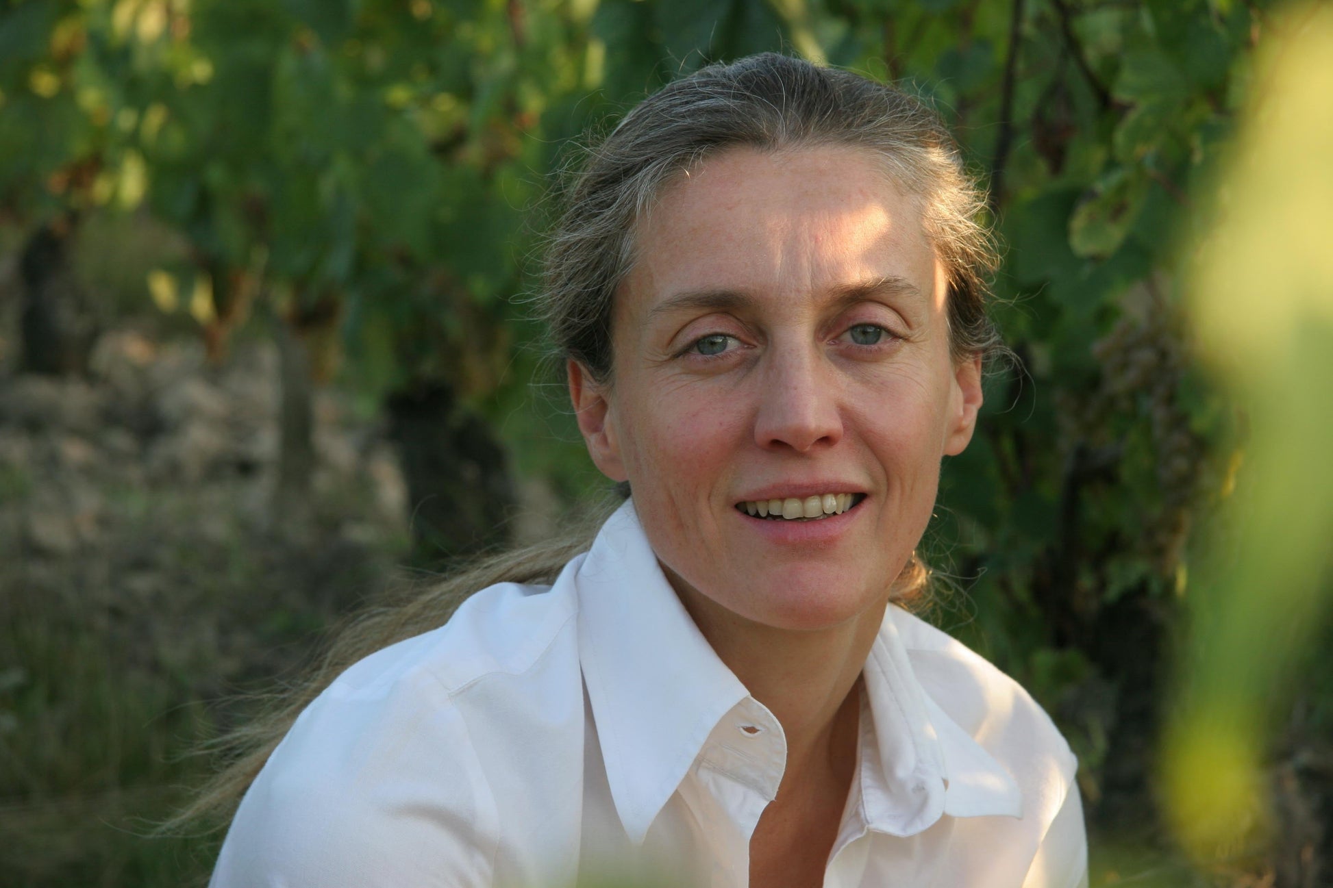 Domaine de Montcy