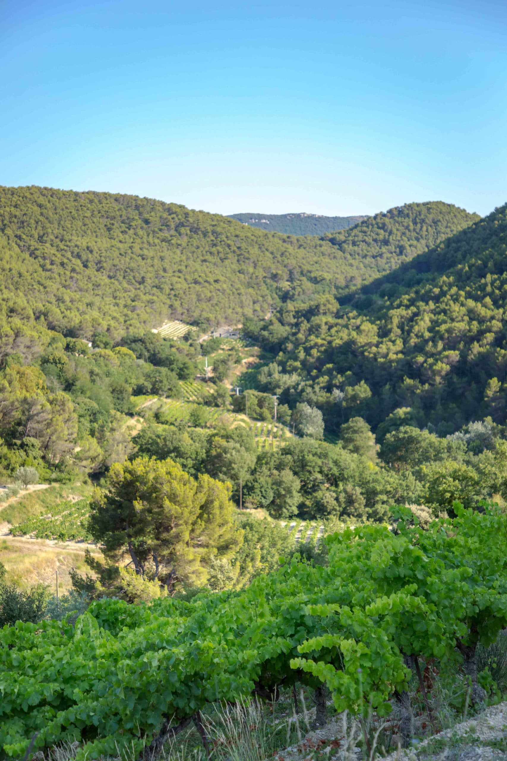 Rhone