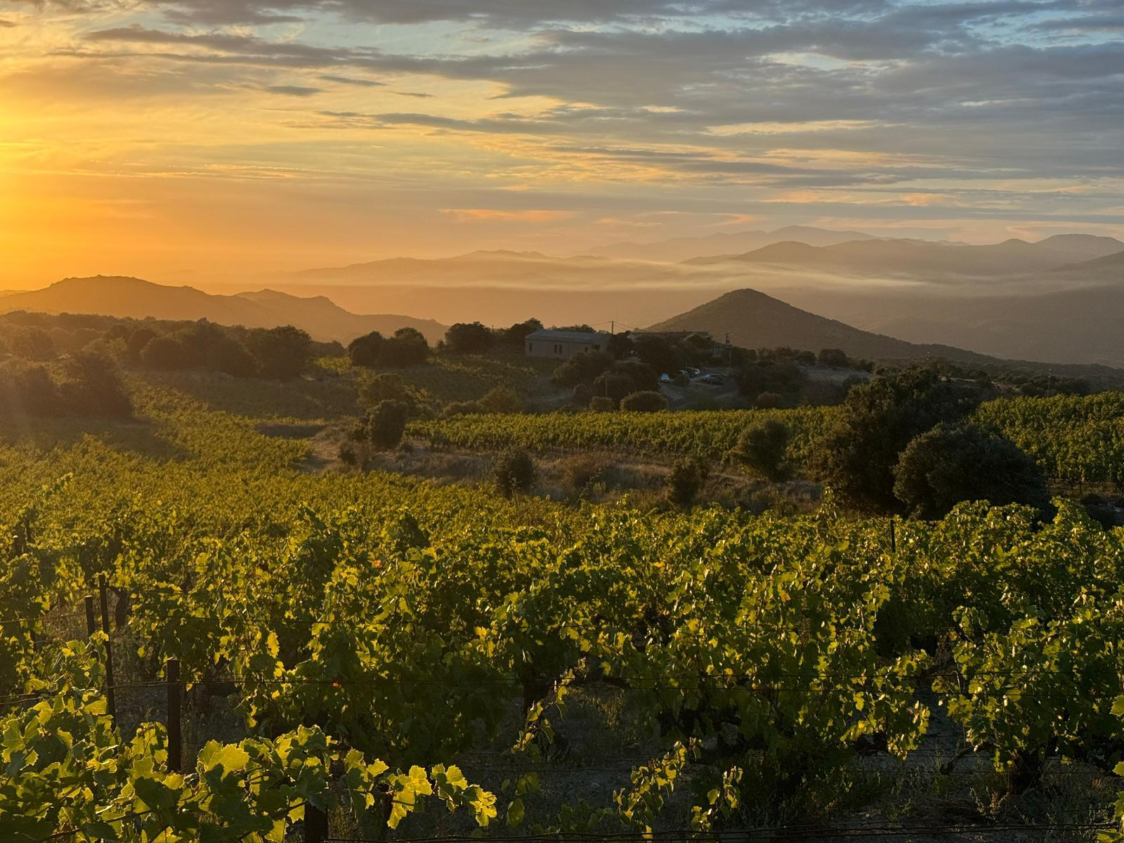 Roussillon